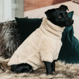 Kentucky Teddy Fleece Dog Sweater