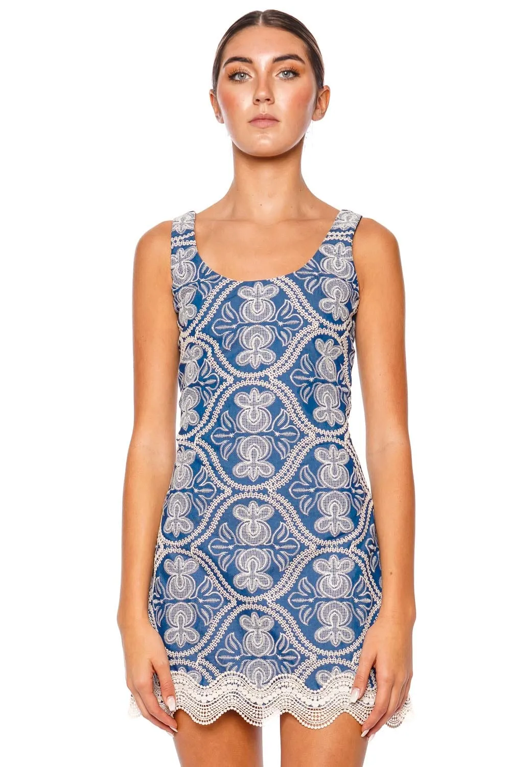 Willow Sleeveless Lace Trim Mini Dress